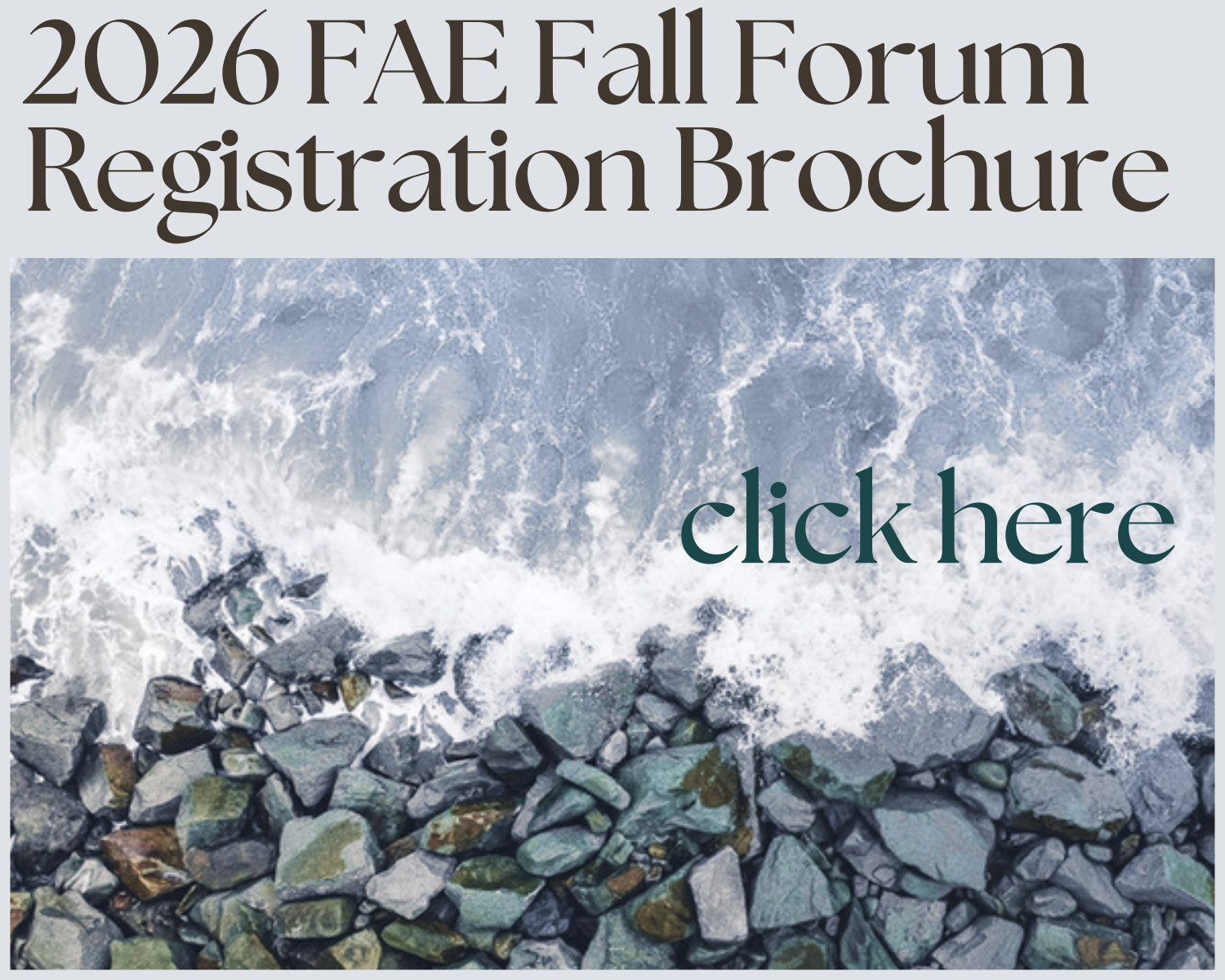 2026 FAE Fall Forum Registration Brochure Link